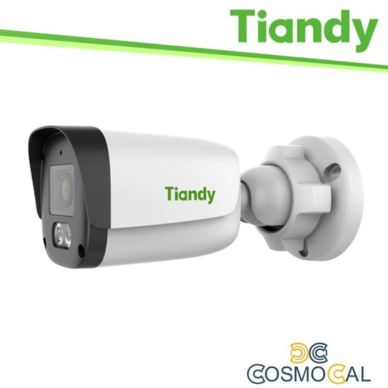 Tiandy Telecamera Bullet Spark 4MP 4.0mm, PoE, 0.02Lux, IP67 - T