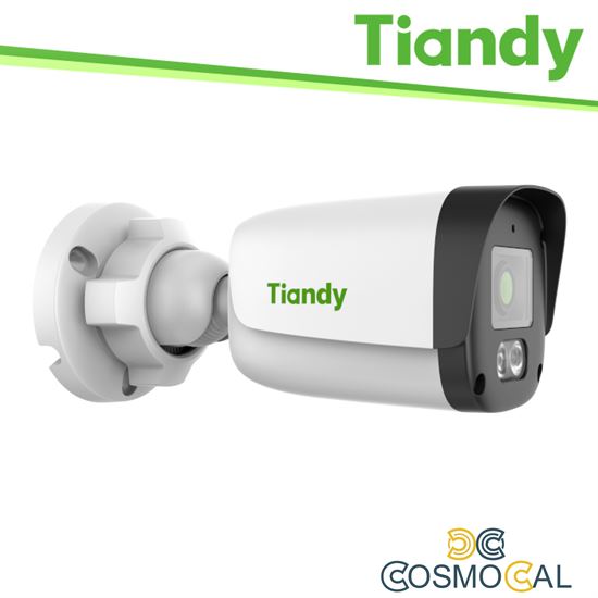 Tiandy Telecamera Bullet Spark 4MP 4.0mm, PoE, 0.02Lux, IP67 - T