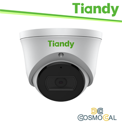 Tiandy Telecamera Turret Pro 5MP 2.8mm Starlight, H/VD, PoE, IP6