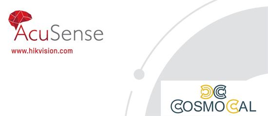 BULLET IP Hikvision 4MP, Ottica Fissa 2.8mm PoE,  ACUSENSE