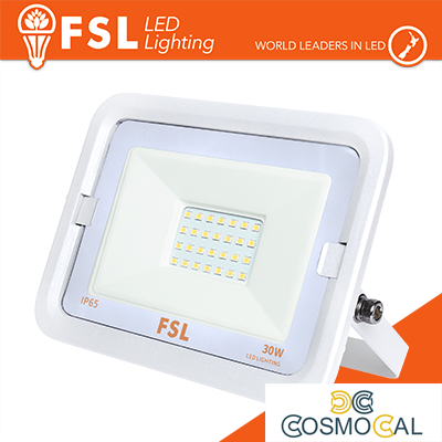 Proiettore per esterni Bianco 30W - IP65 115° 4000K