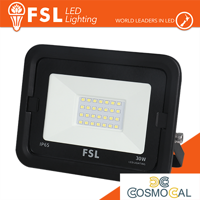 Proiettore per esterni Nero 30W - IP65 115° 6500K