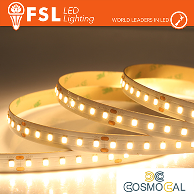 Striscia LED 5m IP20 2835 24V - 12W/m 120led/m 6500K