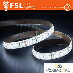 Striscia LED 5m IP65 SILICON 2835 24V - 12W/m 120led/m 6500K