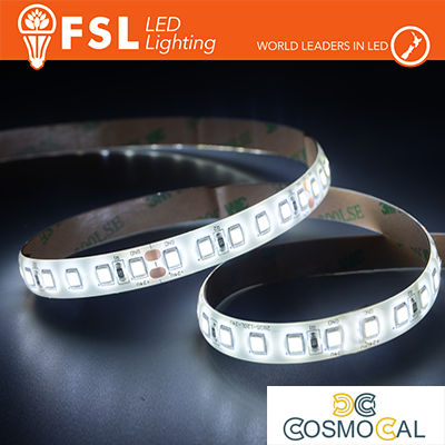 Striscia LED 5m IP65 SILICON 2835 24V - 12W/m 120led/m 6500K