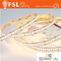 Striscia LED 5m IP20 2835 24V - 20W/m 240led/m 6500K