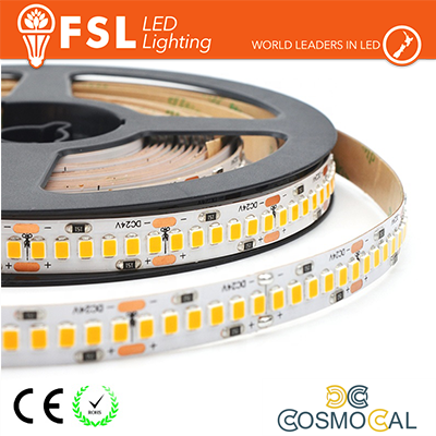 Striscia LED 5m IP20 2835 24V - 20W/m 240led/m 6500K