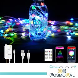 Corda in PVC di Luci Decorative Smart RGB-IC OUTDOOR Wi-Fi + Blu