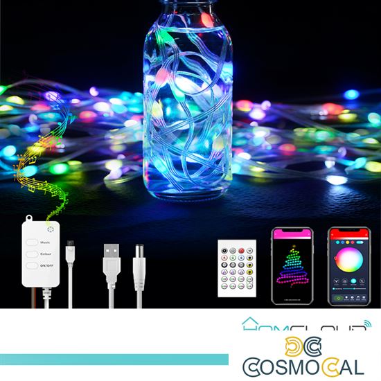 Corda in PVC di Luci Decorative Smart RGB-IC OUTDOOR Wi-Fi + Blu