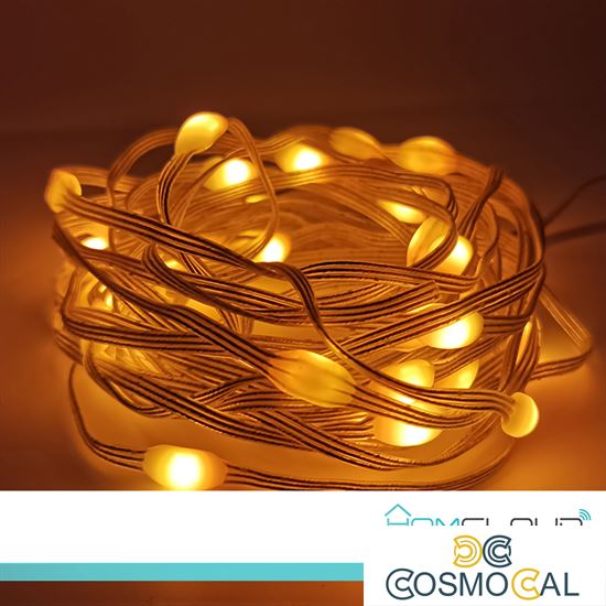 Corda in PVC di Luci Decorative Smart RGB-IC OUTDOOR Wi-Fi + Blu