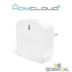 Centralina intelligente Hub a muro Zigbee+Bluetooth New