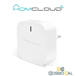 Centralina intelligente Hub a muro Zigbee+Bluetooth New