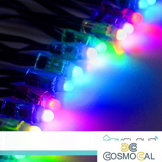 Stringa di Luci decorative a Led Smart OUTDOOR RGB-IC Wi-Fi+Blue