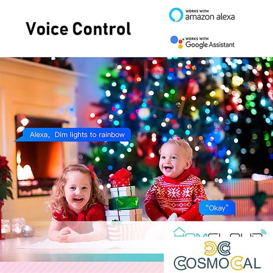 Stringa di Luci decorative a Led Smart OUTDOOR RGB-IC Wi-Fi+Blue