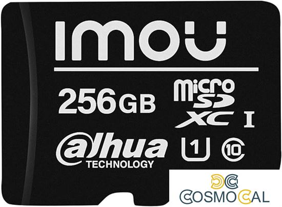 Imou Micro SD Card 256Gb Classe 1