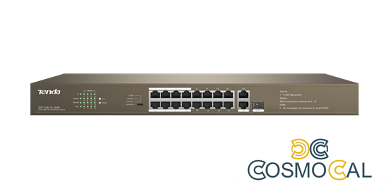 Switch Desktop 16 porte 10/100M PoE 250W + 2 GE