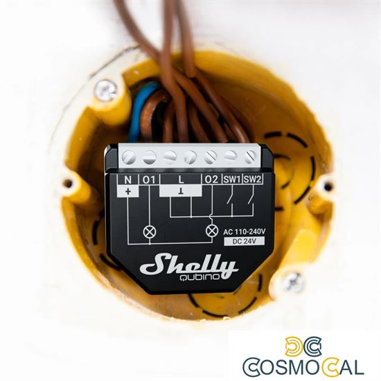 Shelly Qubino Wave 2PM - 2ch