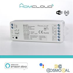 Ricevitore DIM +pulsante 12/36V DC,2CH*5A, Wi-Fi+RF 2.4G CCT