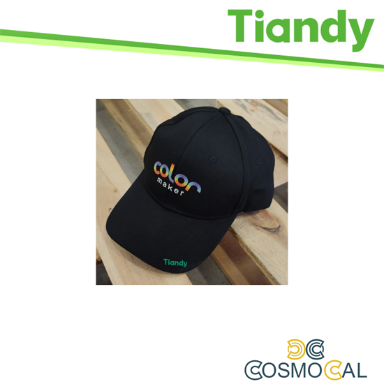 Tiandy Cappello con Logo
