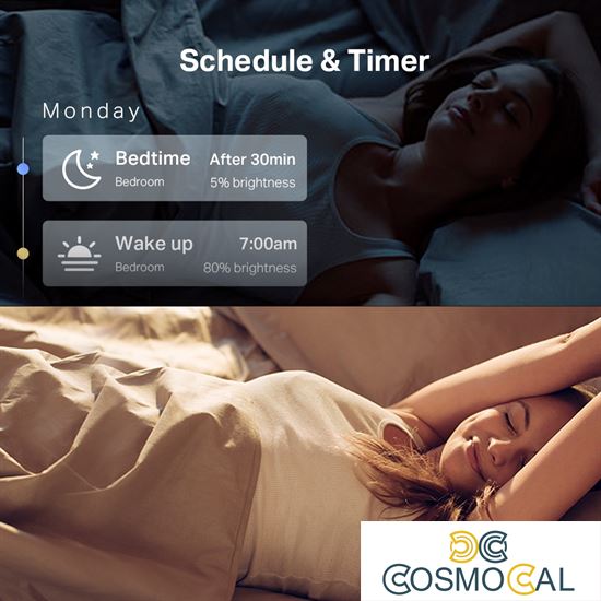 Lampadina LED Smart Wi-Fi multicolore dimm RGB Tapo TP-Link