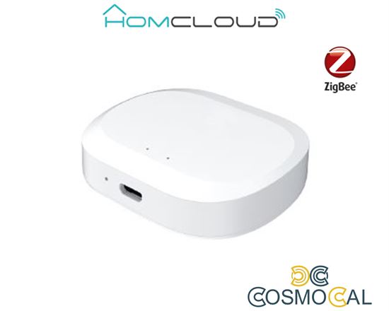 Centralina intelligente Hub - Zigbee+Bluetooth