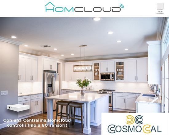 Centralina intelligente Hub - Zigbee+Bluetooth