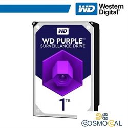 WD11PURZ