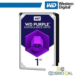 Western Digital HDD int.1TB PURPLE - WD11PURZ